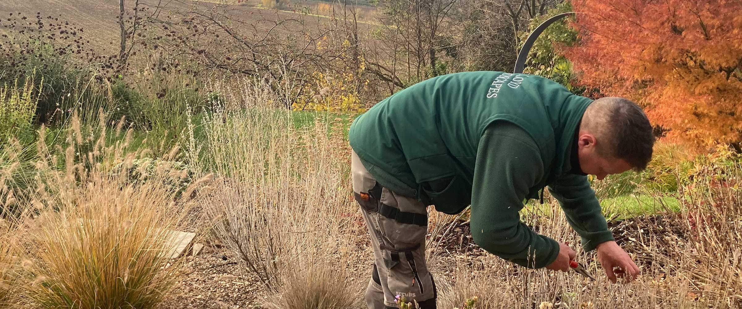 Lloyd Landscapes RHS Garden Maintenance Malvern