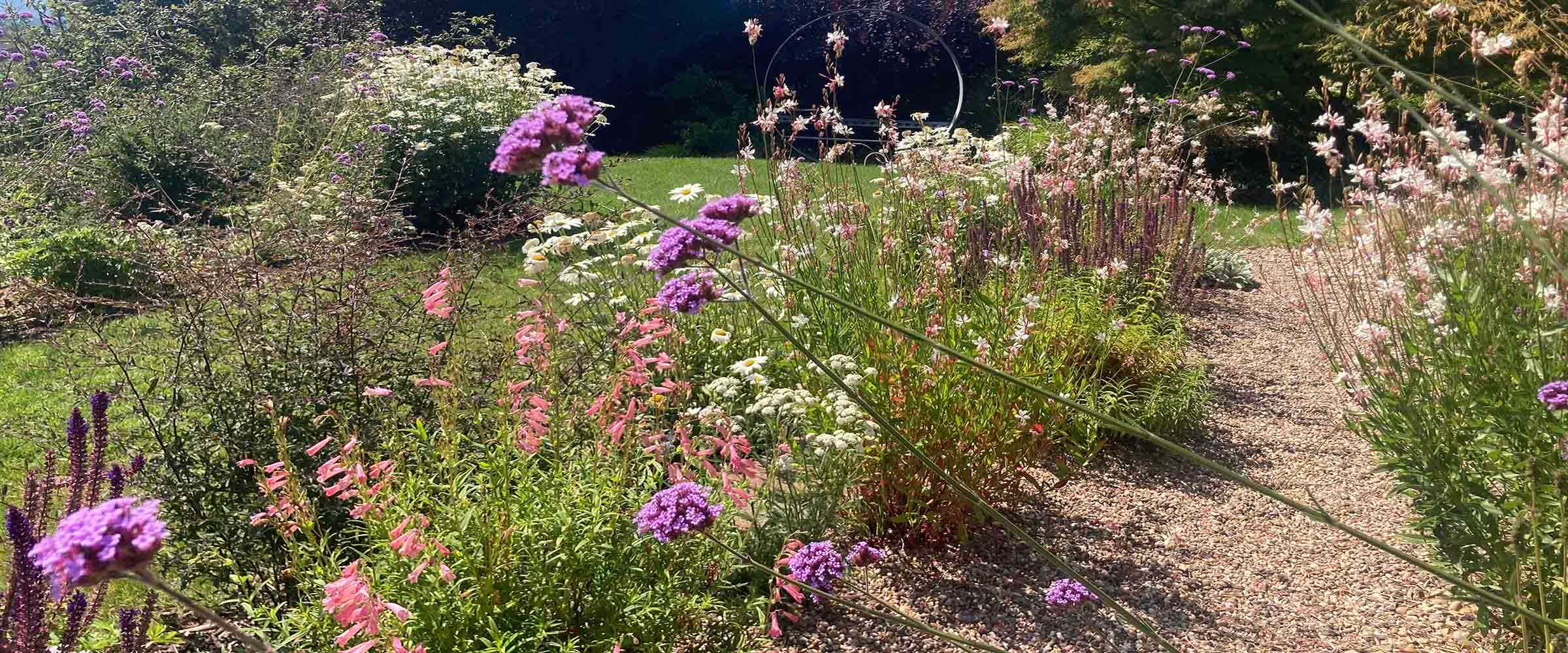 Lloyd Landscapes RHS Malvern